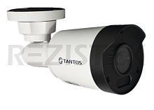 TSi-Pe25FP - IP видеокамера уличная 2 мегапиксельная с фиксированным объективом и питанием PoE