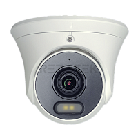 Tsi-Ee25FPN IP видеокамера уличная купольная с LED подсветкой белого цвета, двухмегапиксельная